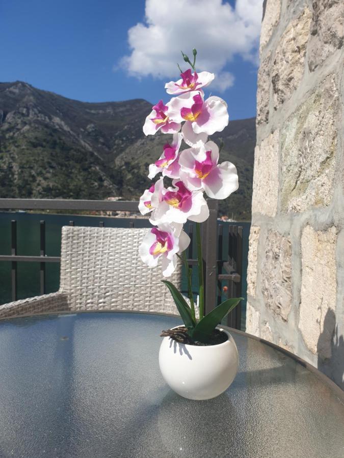 Savic Apartments Κότορ Εξωτερικό φωτογραφία