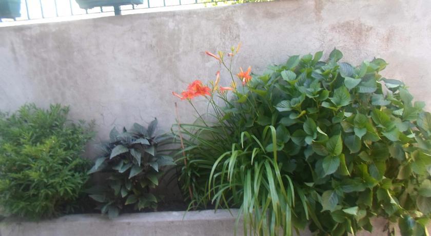 Savic Apartments Κότορ Δωμάτιο φωτογραφία